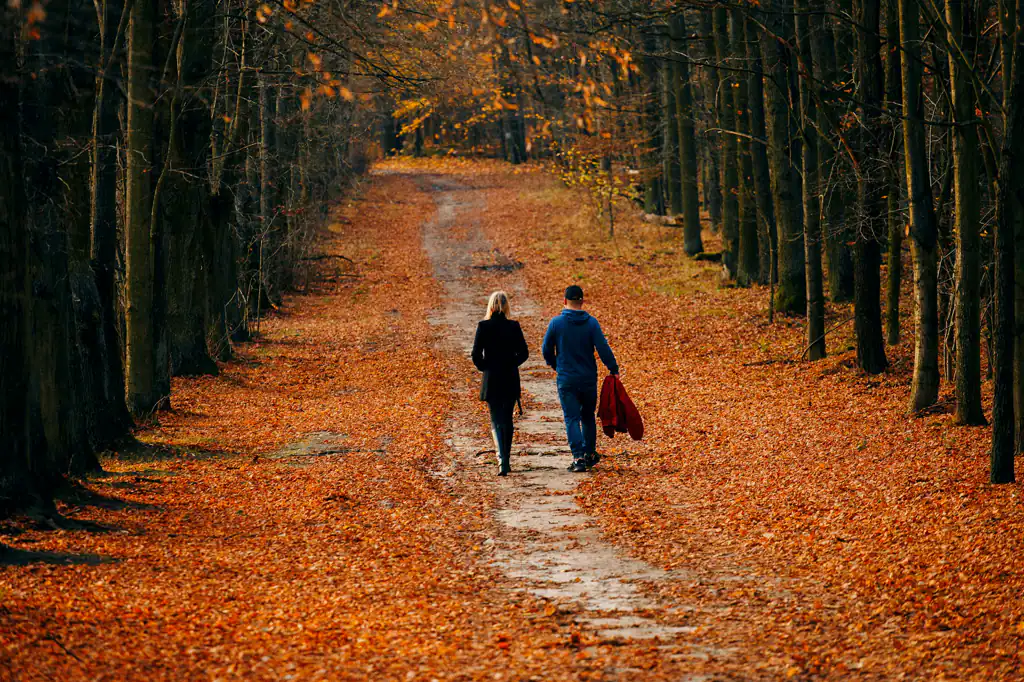 Two people, seen from behind, walking away down a tree-lined path covered in orange autumn leaves: one with fair hair in a long dark coat and tall boots, the other in a blue hooded sweatshirt and a dark cap, carrying a red jacket.